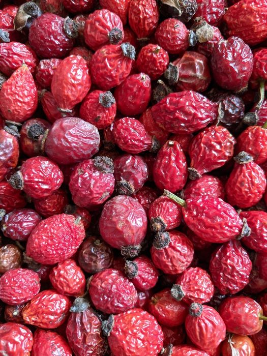 Шипшина, ягоди сухі