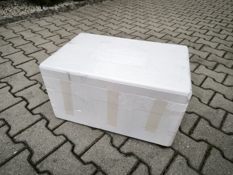 Styrobox 60x40x30 box styropian suchy lód transport przewóz zwierząt
