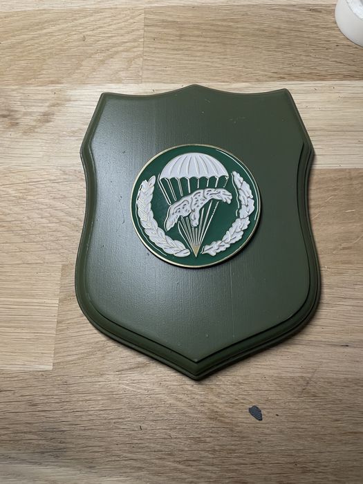 Ryngraf Pamiatkowy 10bdsz 6bpd