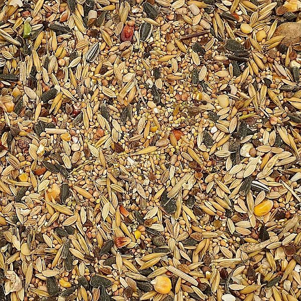 20kg Uniwersalna karma dla ptaków ziarno pokarm zimowy karmnik Champi