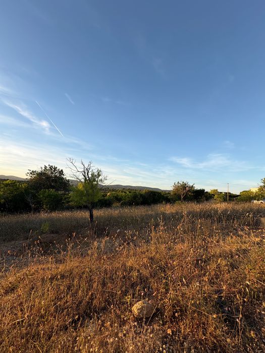 Terreno Rústico Algarve