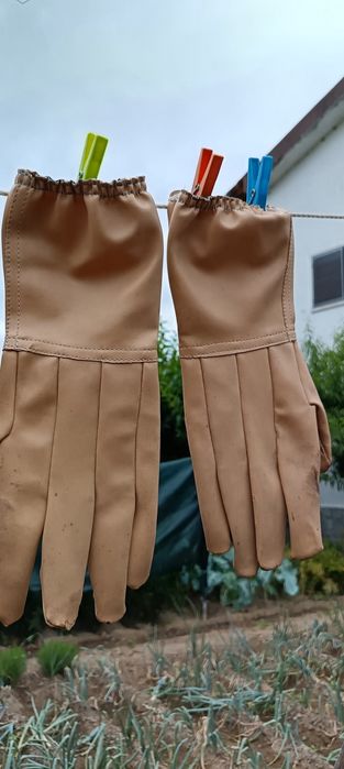 Material de Apicultura