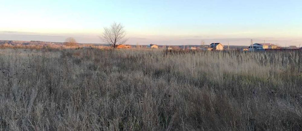 Синяк Продам земельну ділянку під будівництво
