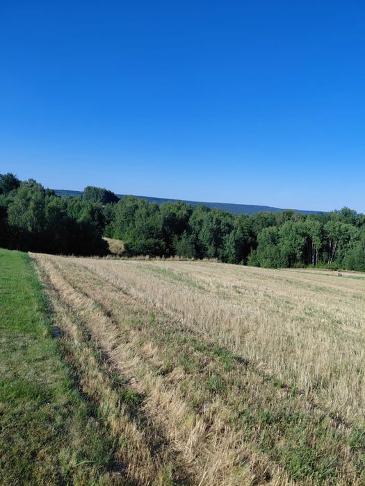 Działka z warunkami zabudowy