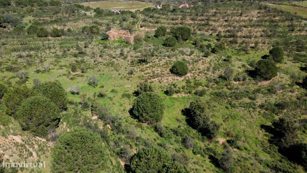 Terreno Monte Alentejano com 6,27 ha, Artigo Urbano 120 m² e Montado d