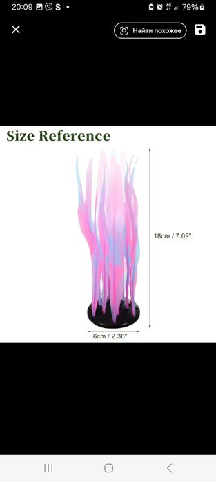 Водоросль в акваріум