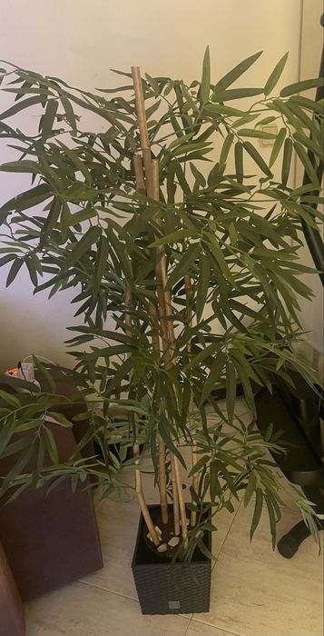 Planta artificial leroy