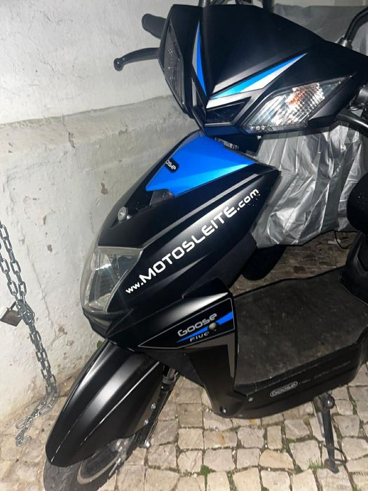 Mota eletrica Goose Five