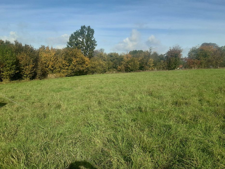 Działka z warunkami zabudowy, 1500 m2, Błeszno