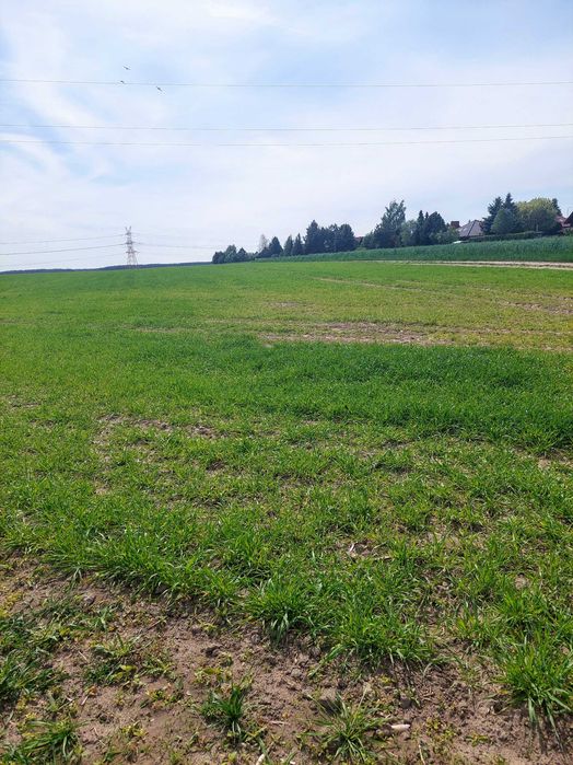 Działka budowlana Daszewice