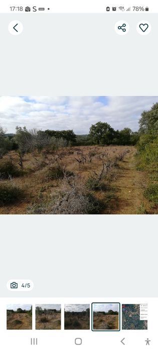 Terreno rústico 3.760m2  (Vinha e Oliveiras)