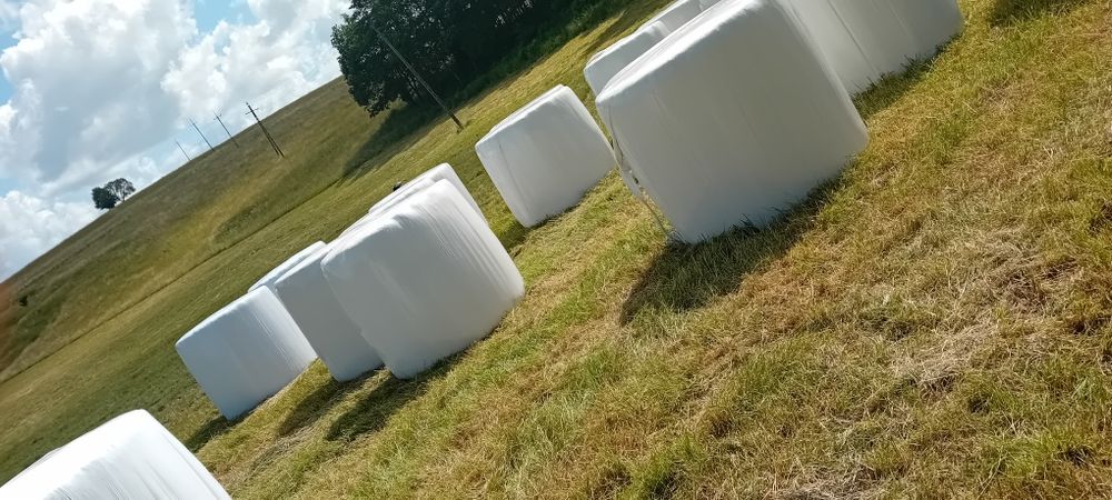 Sprzedam bele  sianokiszonki