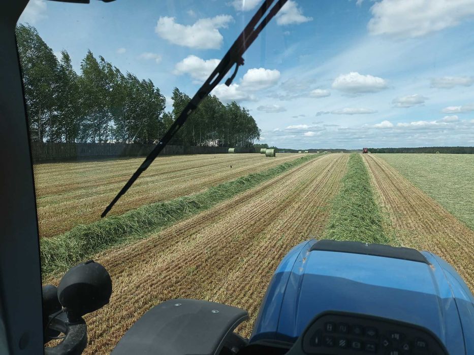 Sianokiszonka z traw, kiszonka z żyta