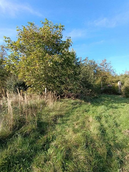 Продаж дачної ділянки с. Ков'ярі. 2500$ сот.