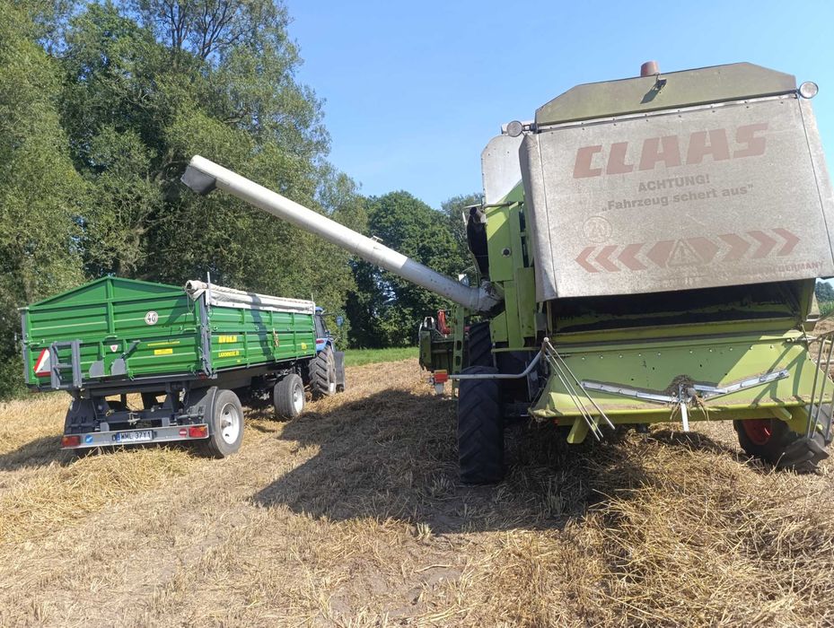 Koszenie zbóż Claas