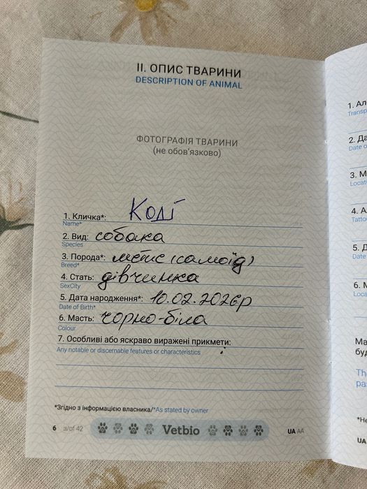 Віддам цуценят в добрі руки!