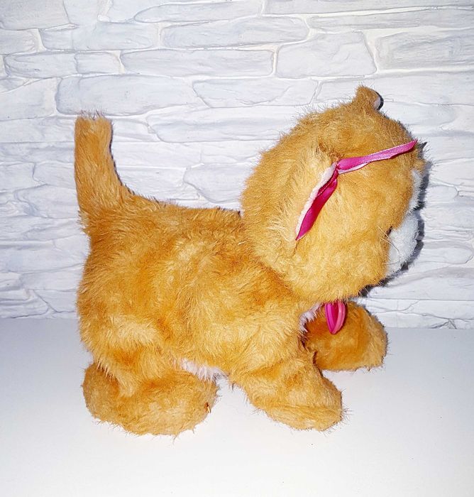 Interaktywny kotek Daisy z serii FurReal Friends firmy Hasbro