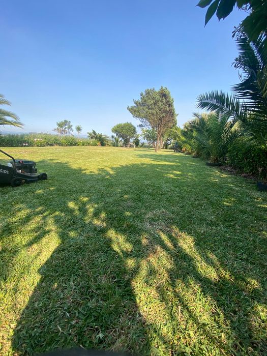 Limpeza de terrenos