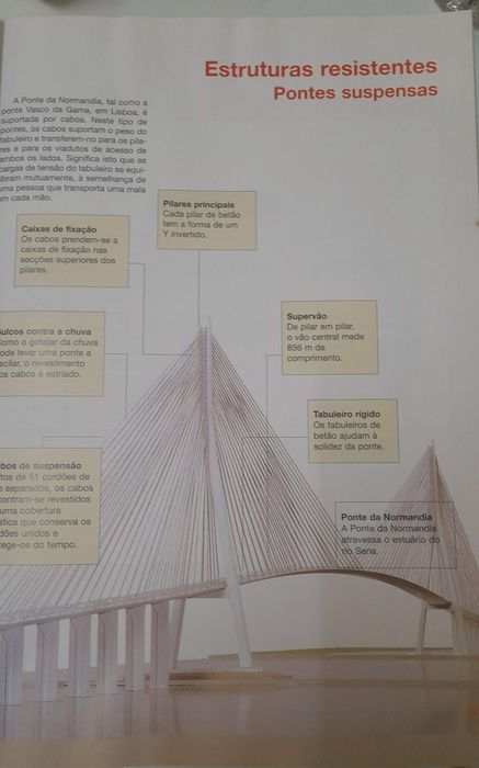 Livro Educação Tecnológica 7°,8°Anos - (Livro antigo) - Bom estado