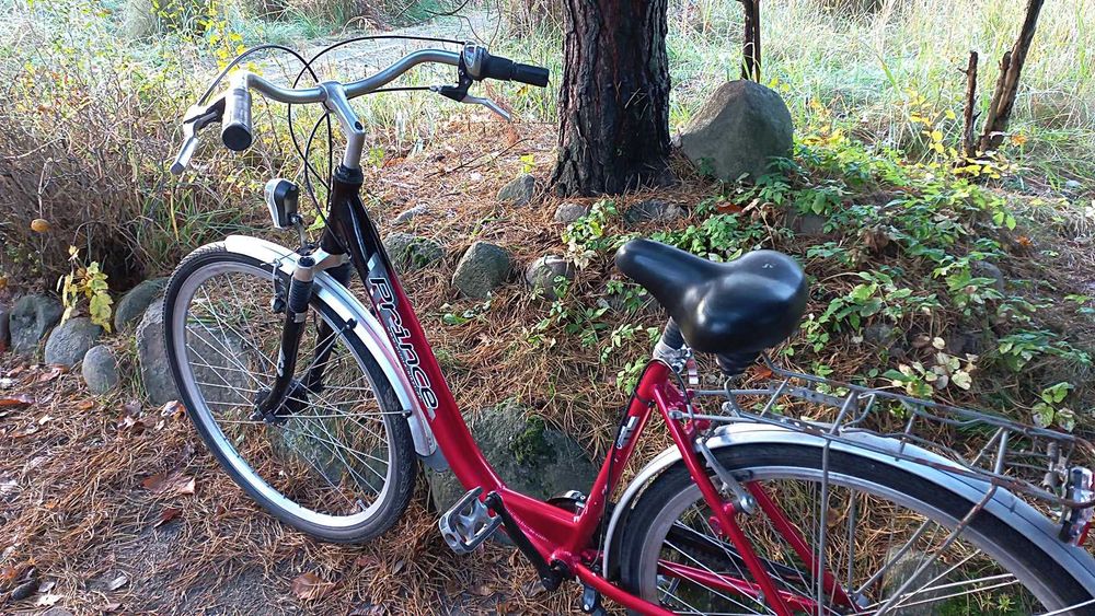 Alu Rower Miejski Damski Prince Damka Łabędź Niska Rama Sram S7 Led 28