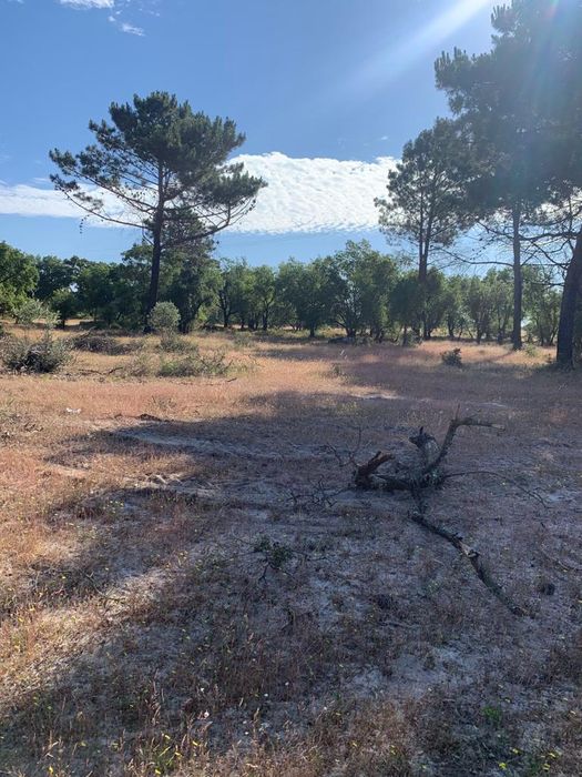 Quinta do anjo/Palmela Terreno Urbano 9625m2 Palmela • OLX Portugal