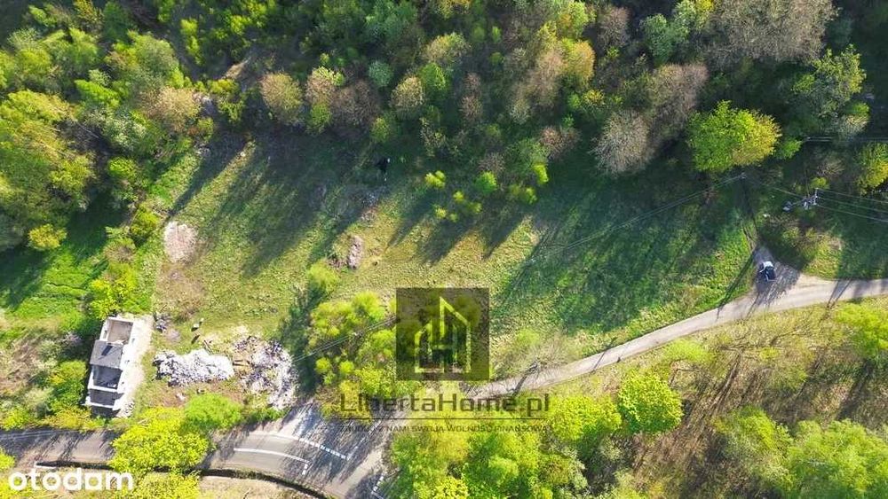 Dzialki budowlane 60zl/m2 Boguszow Chełmie Mniszek bez Prowizji 4367m2