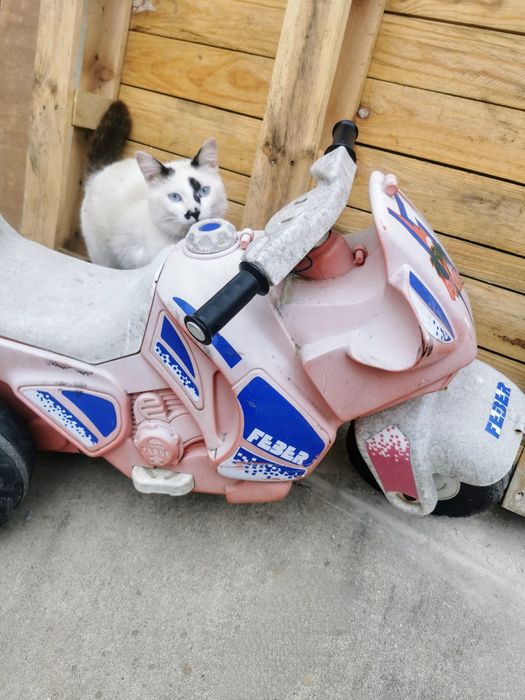 Moto em plástico para criança