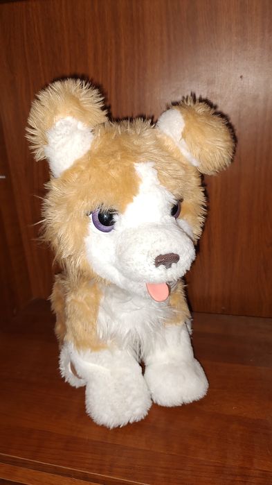 Hasbro Furreal Ricky lub Lexi cudowny piesek