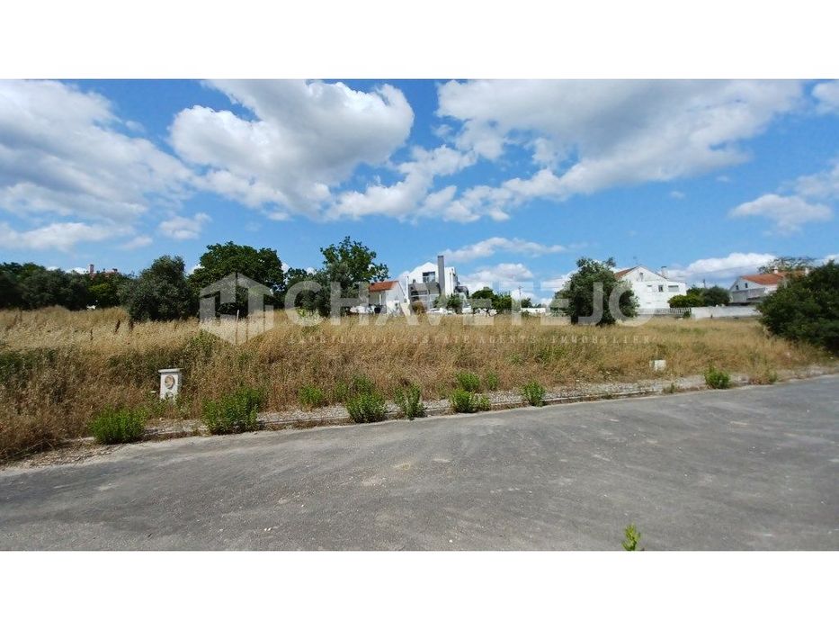 Land with construction feasibility located 1 km from Tomar.