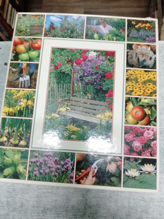 Сад моей мечти  Енциклопедія підписка журналів папки