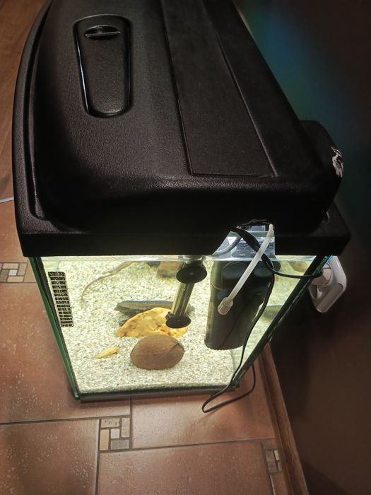 Akwarium panoramiczne