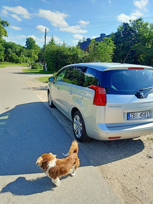 Peugeot 5008 Sprzedam/Zamienie