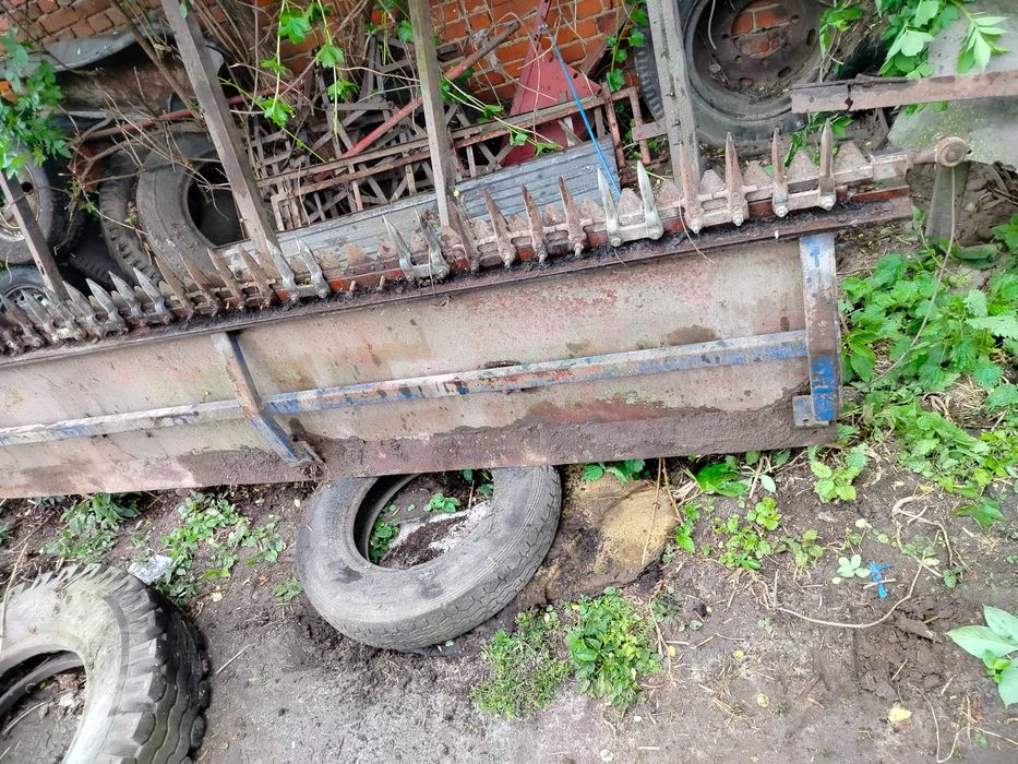 Stół do rzepaku bizon