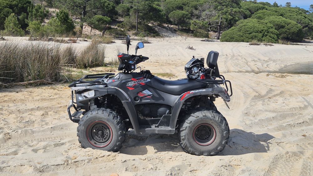 Moto 4 Linhai LH 320 PROMAX 4x4