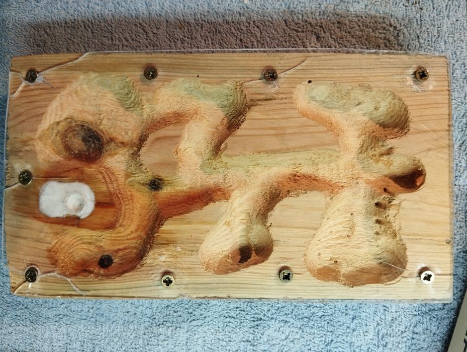 Drewniane formikarium dla mrówek 22x12[cm]