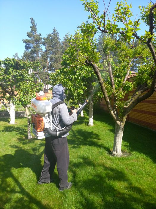 ОБРІЗКА, ОБРОБКА  плодового саду  Васильків, р-н