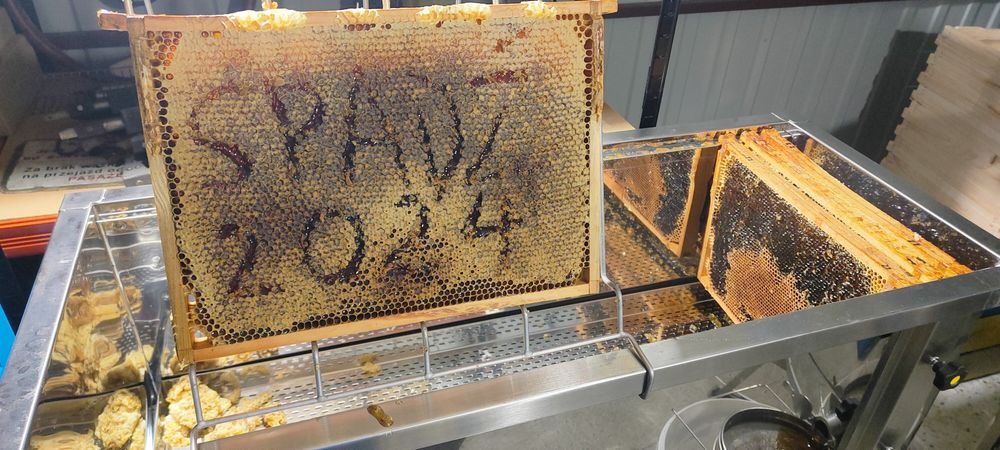 Prawdziwy miód spadziowy ze spadzi iglastej (jodłowej) 1,2kg