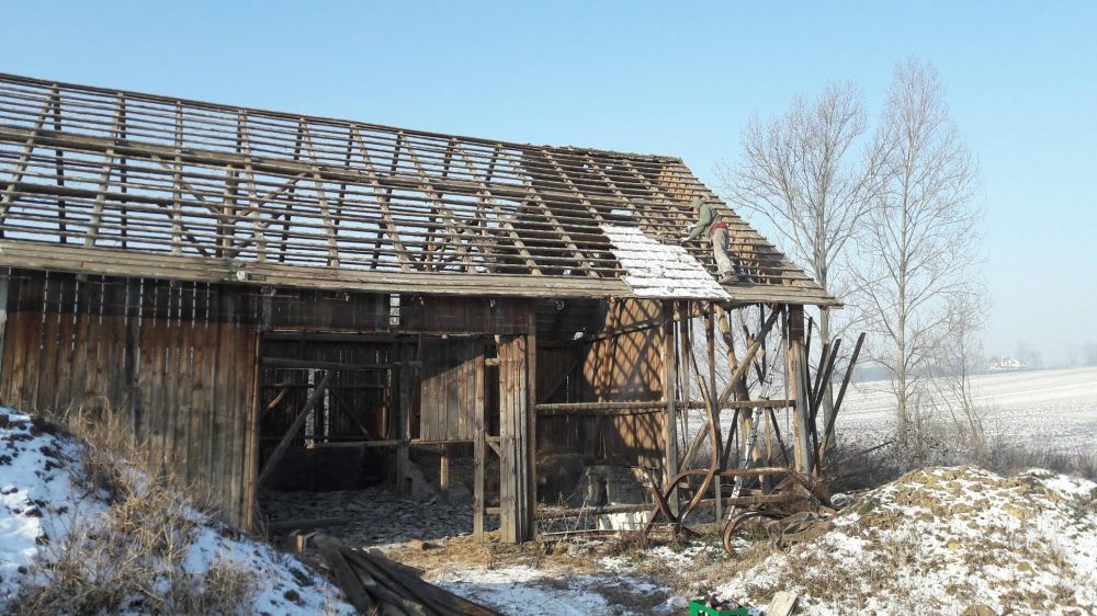 Skup starego drewna stodoła dom rozbiorki stare deski
