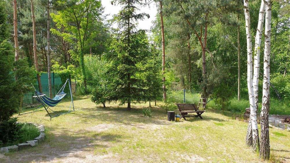 Domek nad jeziorem 2-16os 62-550 Zyg. Święta Boże Narodzenie wolne las