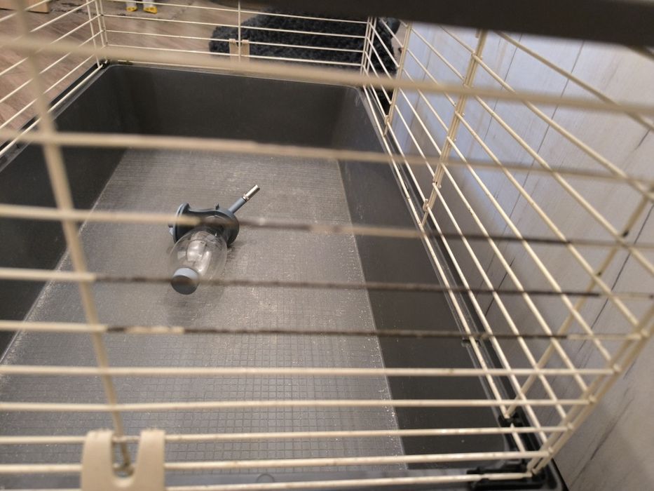 Klatka duża gratisy