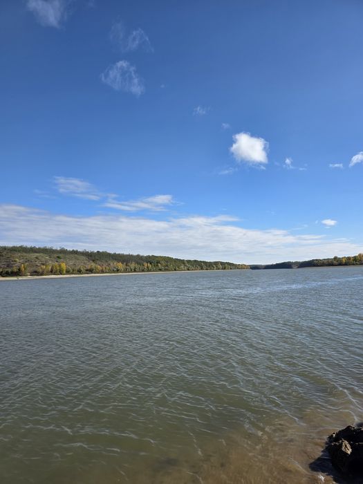 Продається гарний маєток біля Дністра