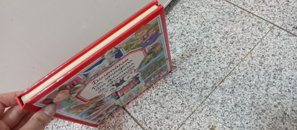 Livro dicionário por imagens