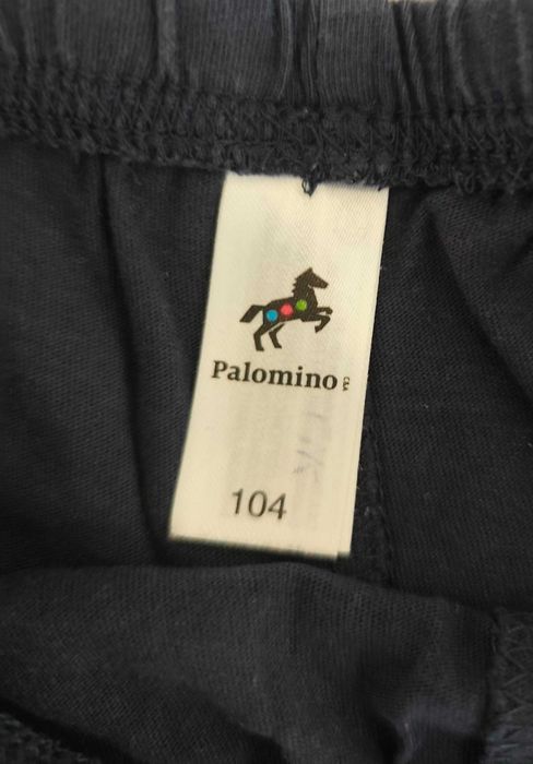 Palomino śliczny komplecik r. 104