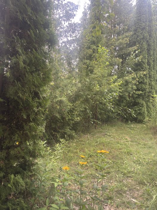Dzialka Rod Kanie Popówek - Widok 5