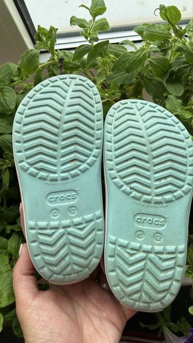 Крокси crocs оригінал