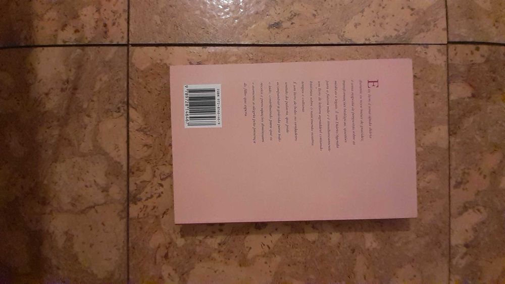 Calendário da gravidez - NOVO