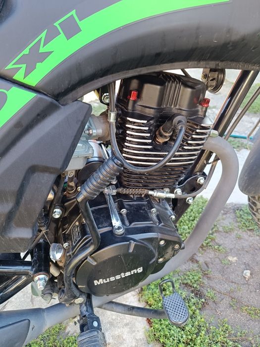 Мустанг Foxi 150 2024