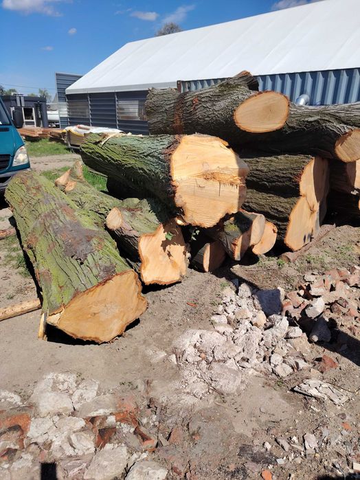 Drewno lipowe deski foszty blaty kłody tarcia