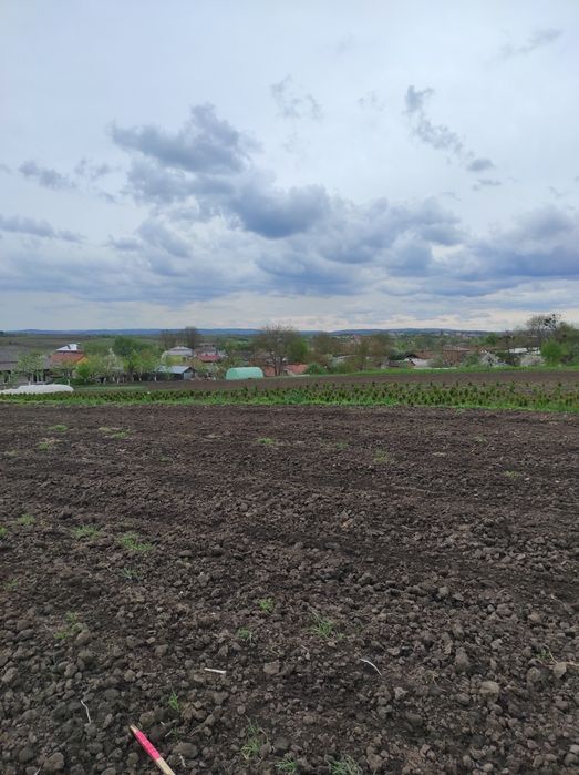 Ділянка Куликів Гребінці