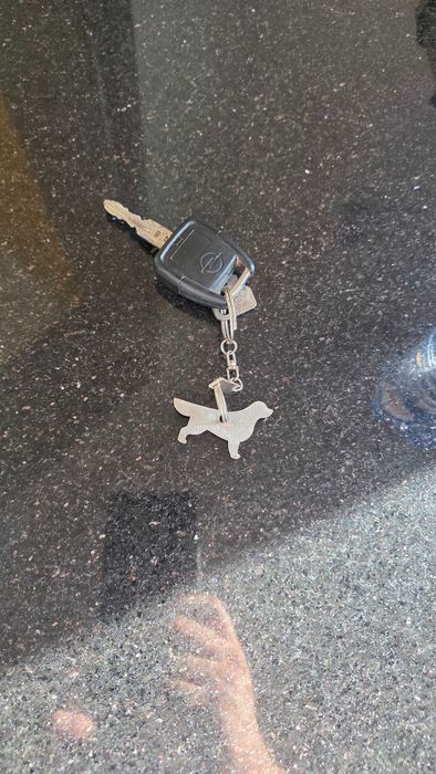 Golden Retriever - Porta Chaves Inox
